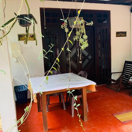 Little Cottage Ела Екстериор снимка