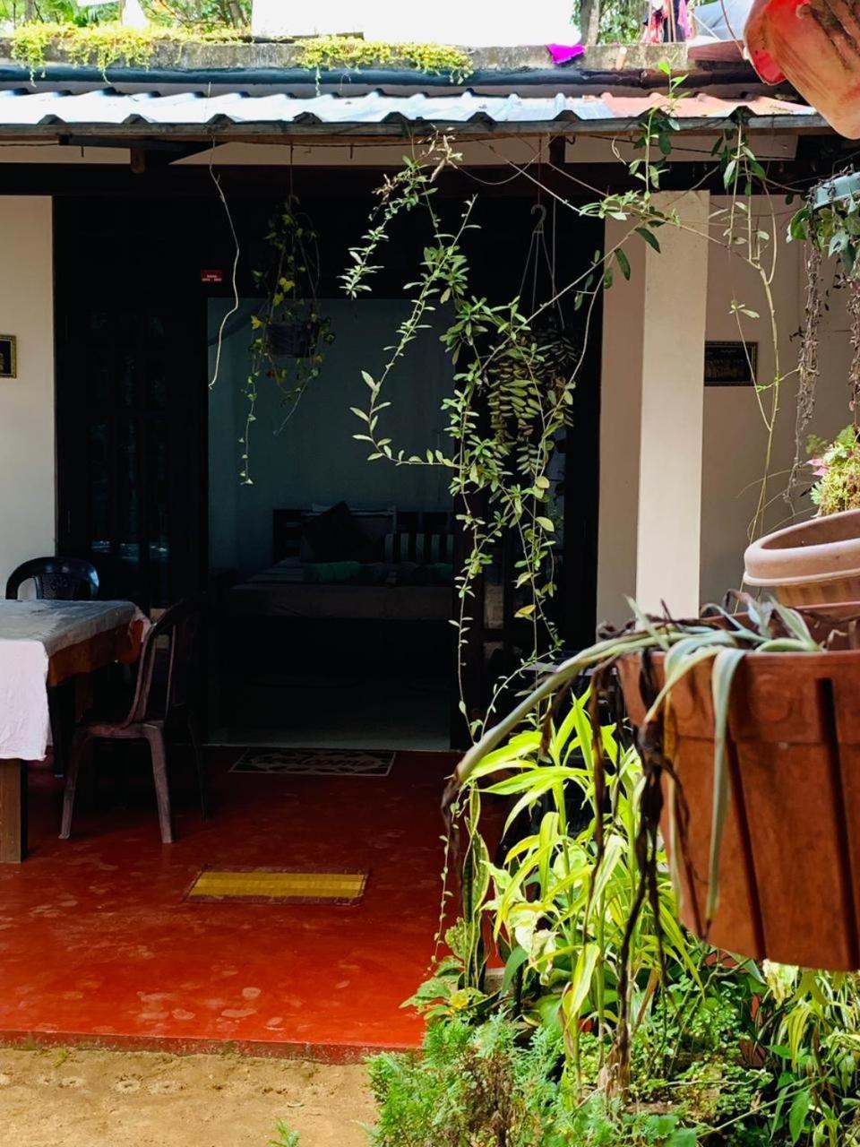 Little Cottage Ела Екстериор снимка