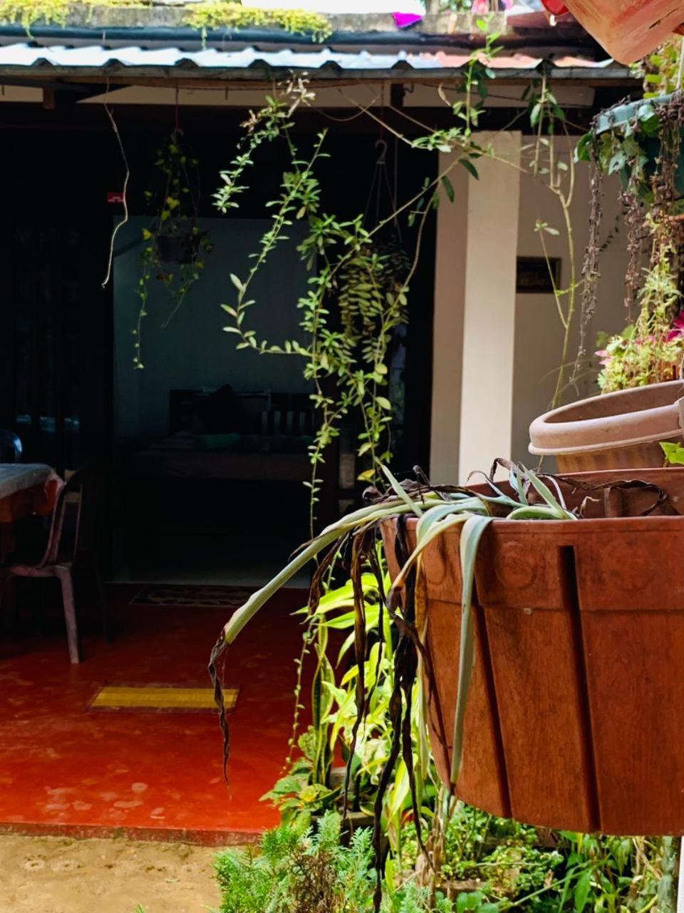 Little Cottage Ела Екстериор снимка